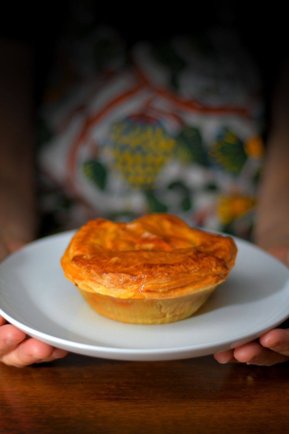 Cooked pot pie on a plate held in hands.