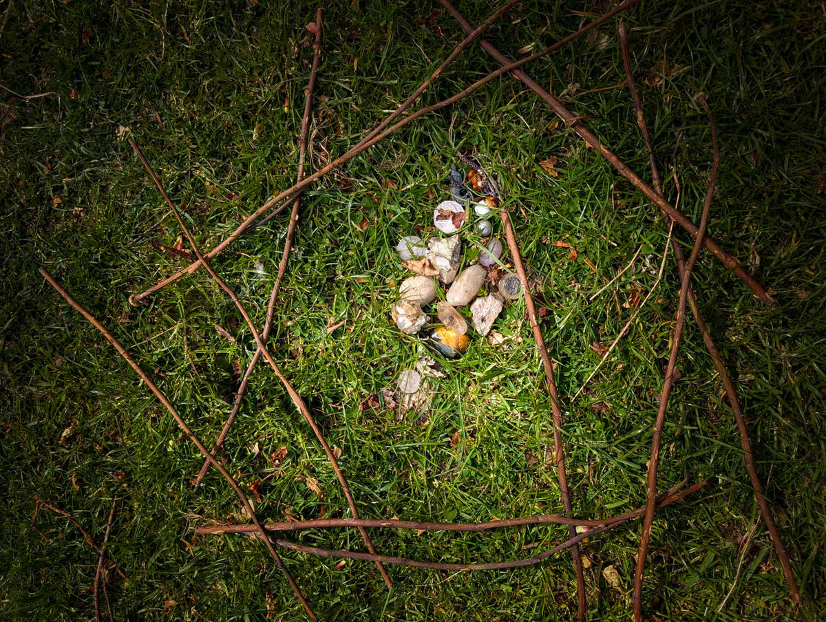 A small pile of assorted natural offerings, including shells, twigs, and organic fragments, arranged on a bed of green grass outdoors.