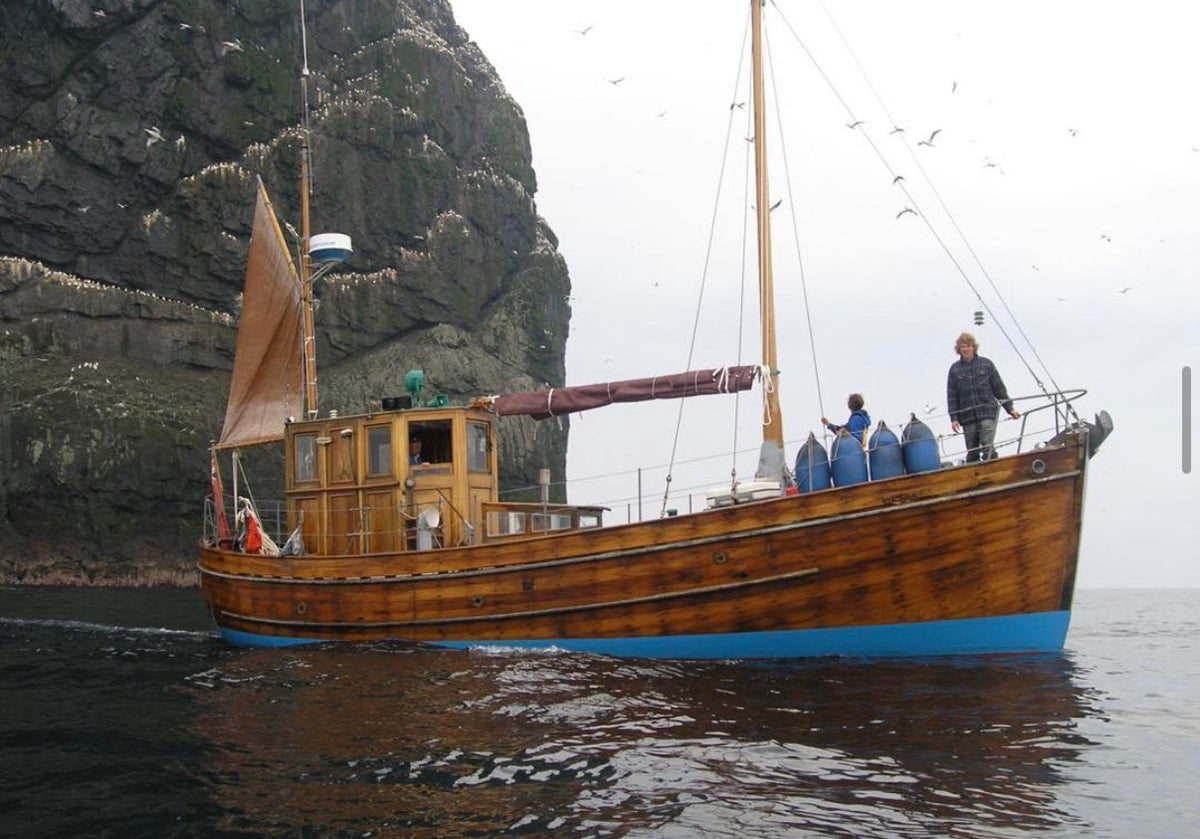 A wooden sailing boat with a blue hull floats on calm water in front of a large rocky cliff. Several people are standing on the deck, and birds are visible flying around in the overcast sky.
